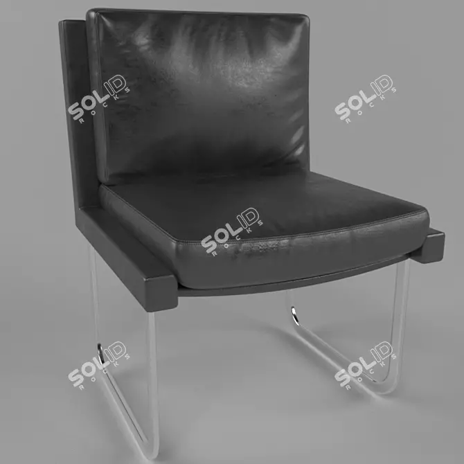 Luxury De Sede Chair: Robert Haussmann Design 3D model image 1