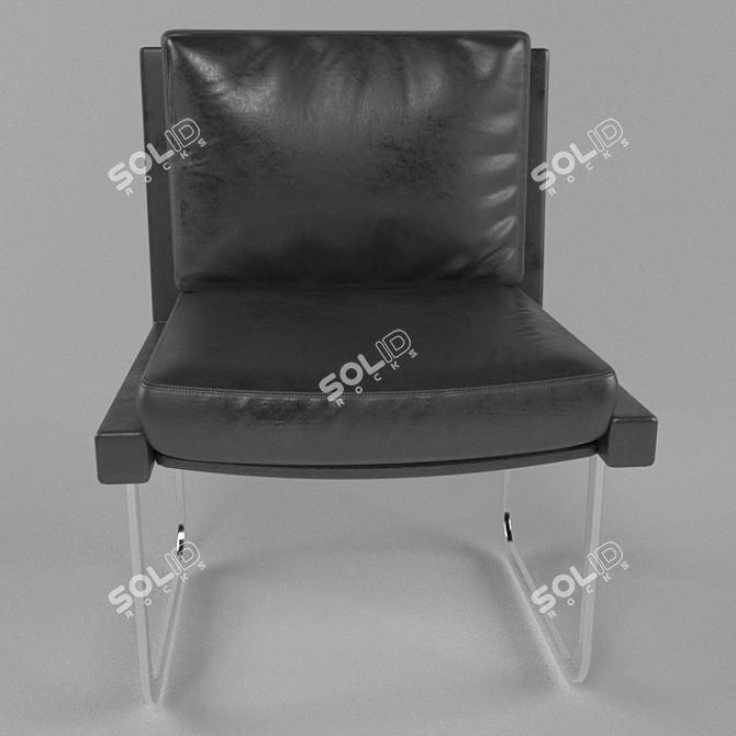 Luxury De Sede Chair: Robert Haussmann Design 3D model image 2