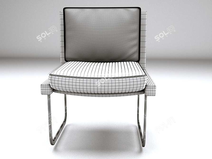 Luxury De Sede Chair: Robert Haussmann Design 3D model image 3