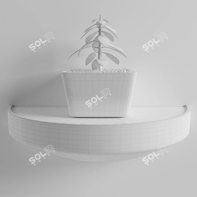 Modern 3D Decor Plant 3D model image 3