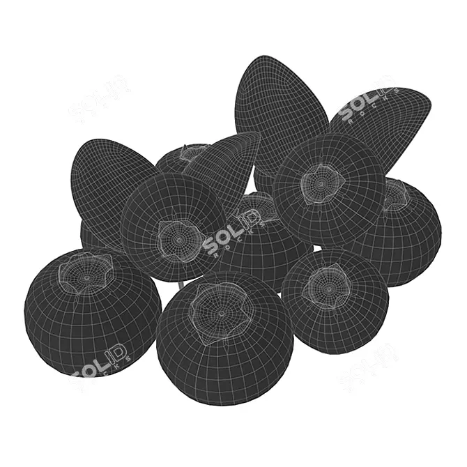 Blueberry Polygons: 28332 5.2cm x 4.19cm x 2.5cm 3D model image 1