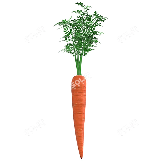 Carrot Geometry Model Kit 3D model image 1