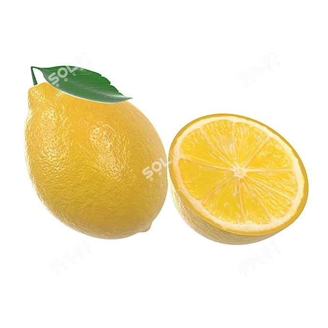 Fresh Lemon Slice with Leaf 3D model image 1