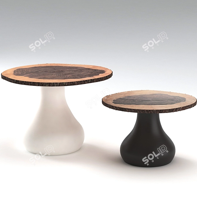 Unique Walnut Wood RIO Coffee Table 3D model image 2