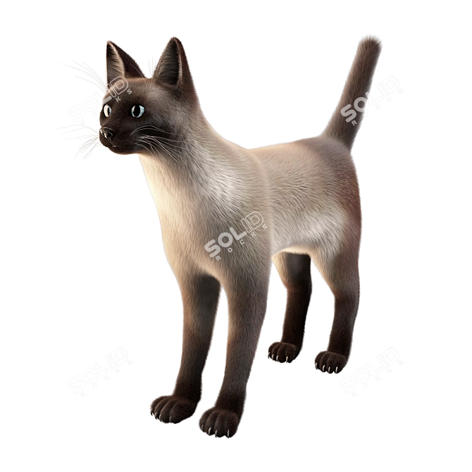 Title: Poseable Siamese Cat Model 3D model image 1