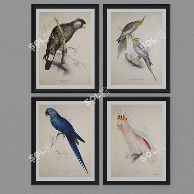 Contemporary Parrot Art Collection 3D model image 3