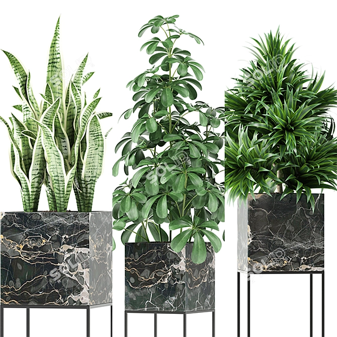 Exquisite Plants Collection MAIA 3D model image 3