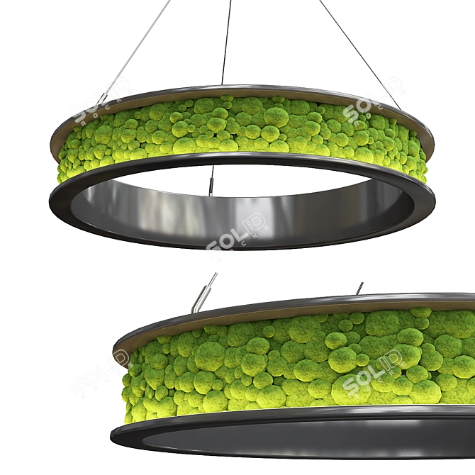 Eco-Friendly Moss Pendant Light 3D model image 1