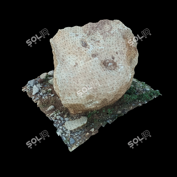 3D Stone Scan: Accurate, Lifelike 3D model image 3