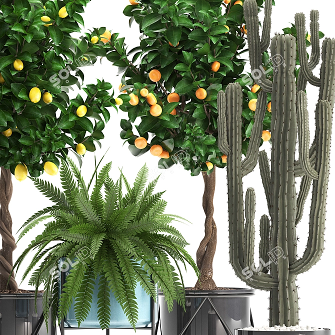 Exotic Plant Collection 3D model image 2