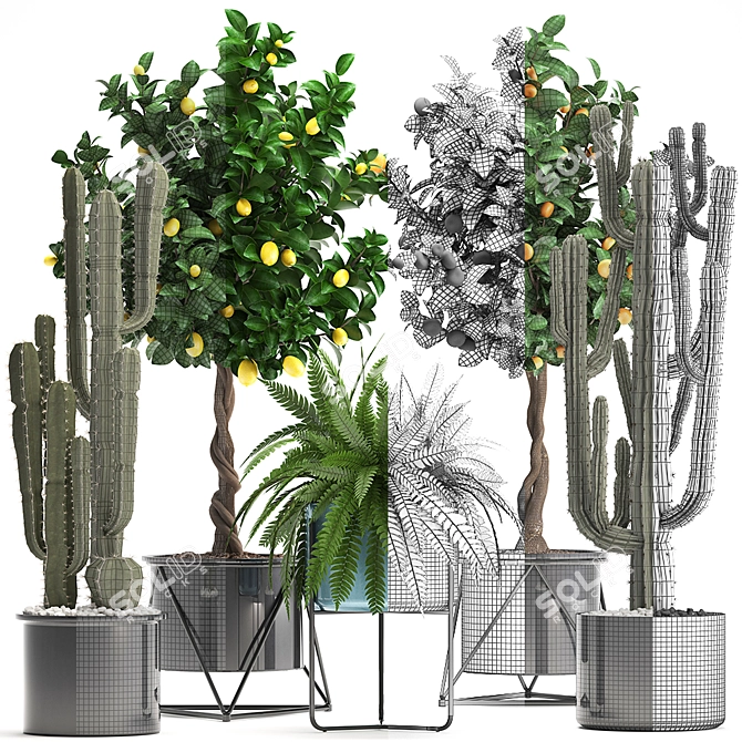 Exotic Plant Collection 3D model image 3