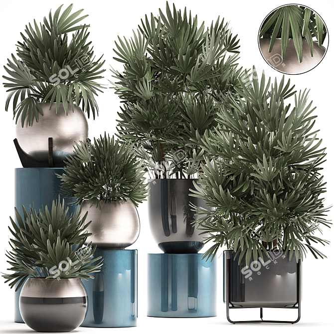 Exotic Palm Plant Collection 3D model image 1