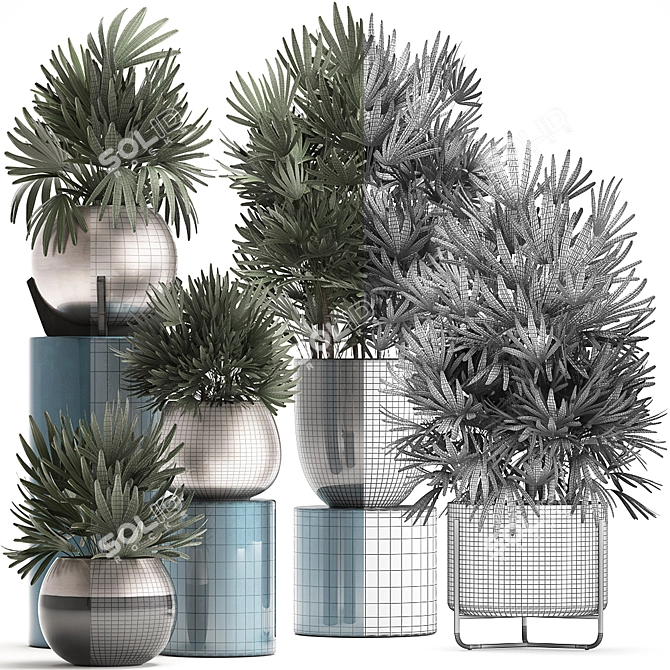 Exotic Palm Plant Collection 3D model image 3