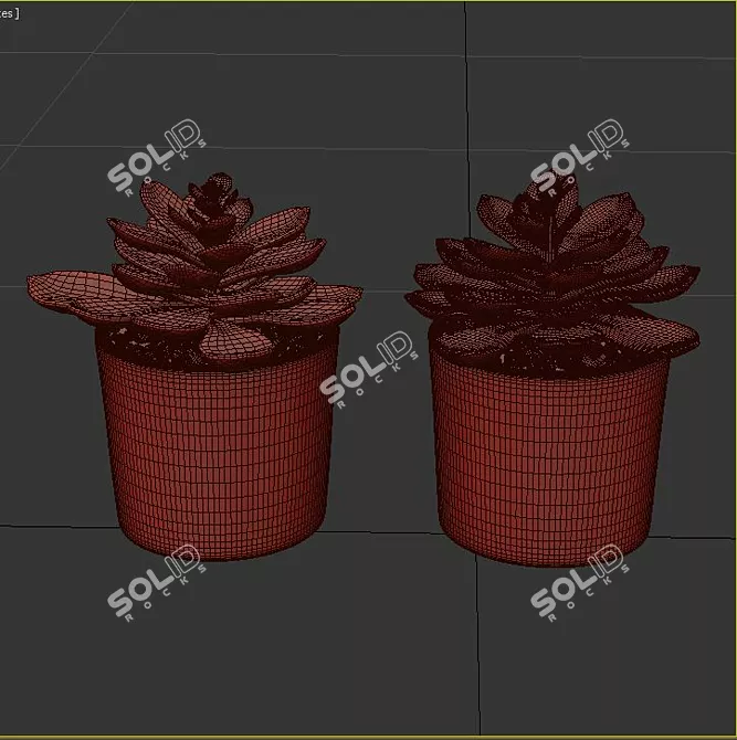 Eco-Friendly Live Plants 3D model image 2