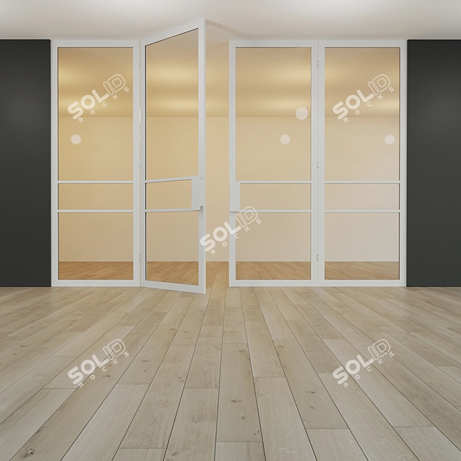 Modern Glass Partition with Swing Door 3D model image 3