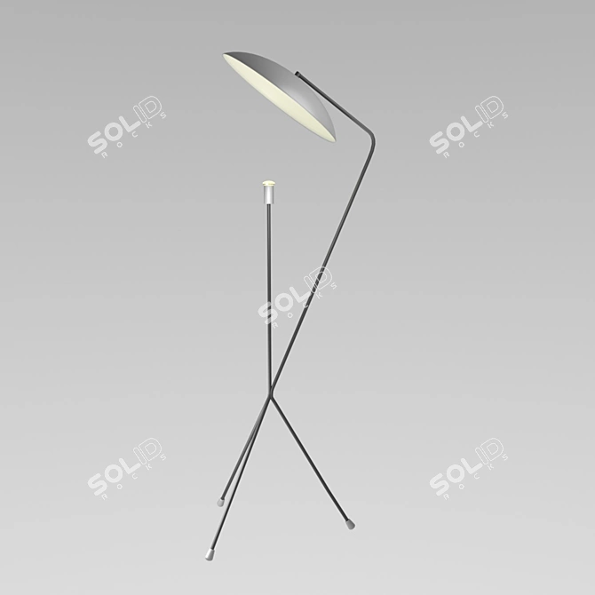 Inodesign Solveig 37630: Modern Black Metal Floor Lamp 3D model image 1