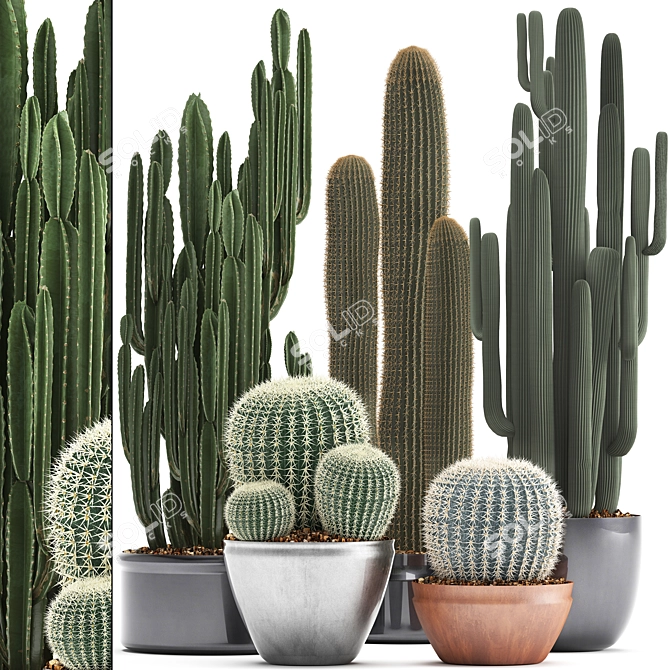 Exotic Cactus Collection - 300 Plants 3D model image 1