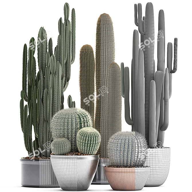 Exotic Cactus Collection - 300 Plants 3D model image 3