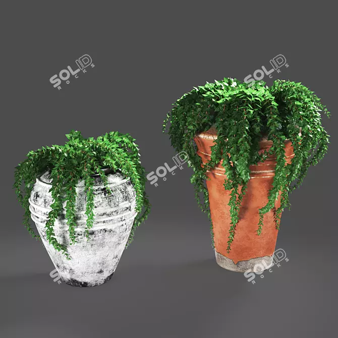 Green Oasis: Ivy in Pots 3D model image 1