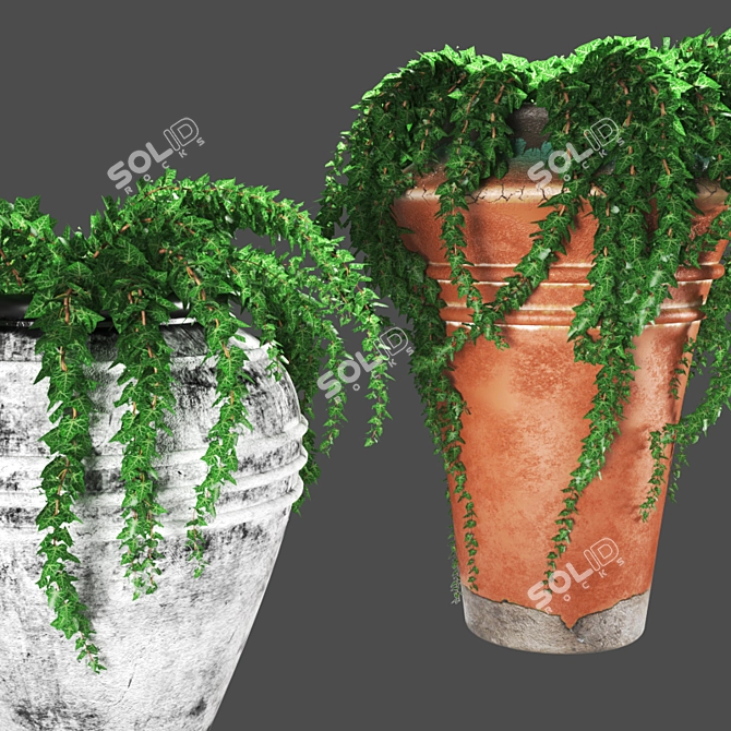 Green Oasis: Ivy in Pots 3D model image 2