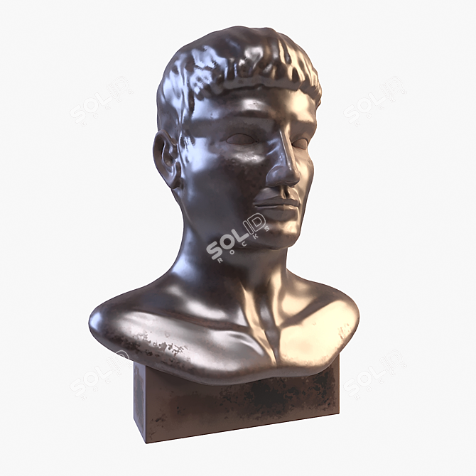 Michelangelo's David Head Sculpture 3D model image 1