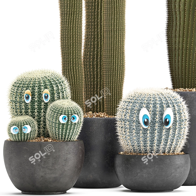 Exotic Cactus Collection 3D model image 2