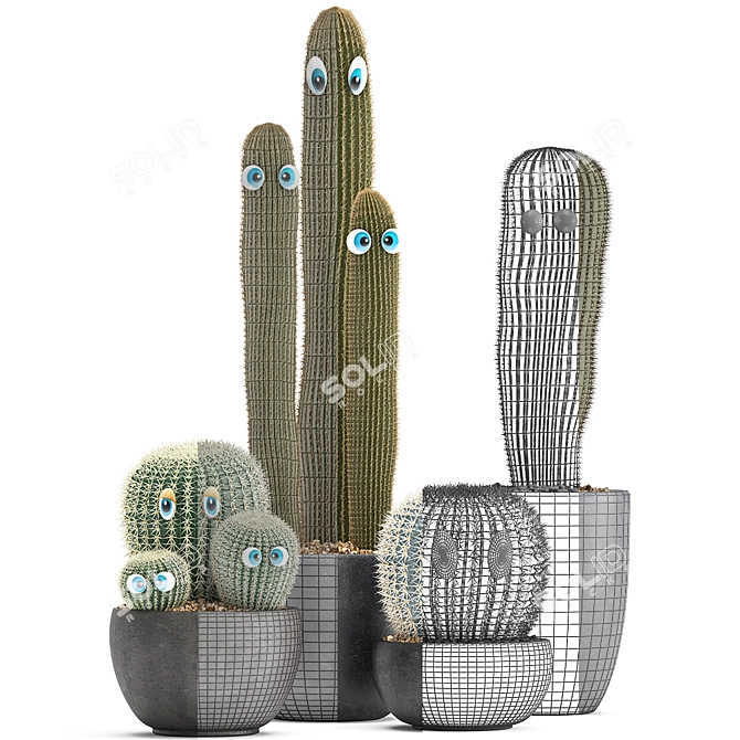 Exotic Cactus Collection 3D model image 3