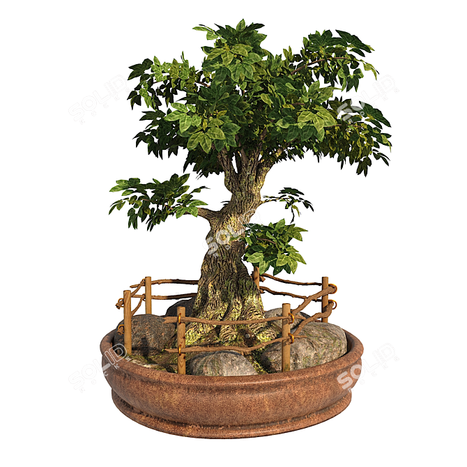 Opulent Opacity Bonsai Tree 3D model image 1