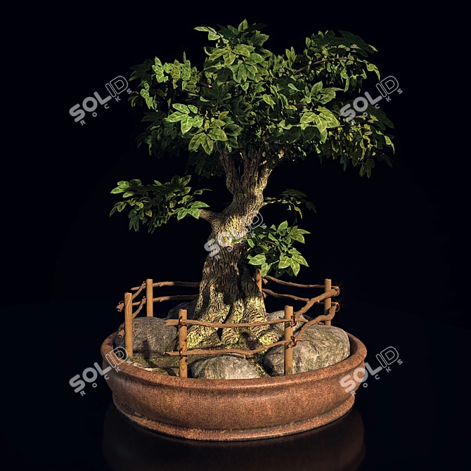 Opulent Opacity Bonsai Tree 3D model image 2