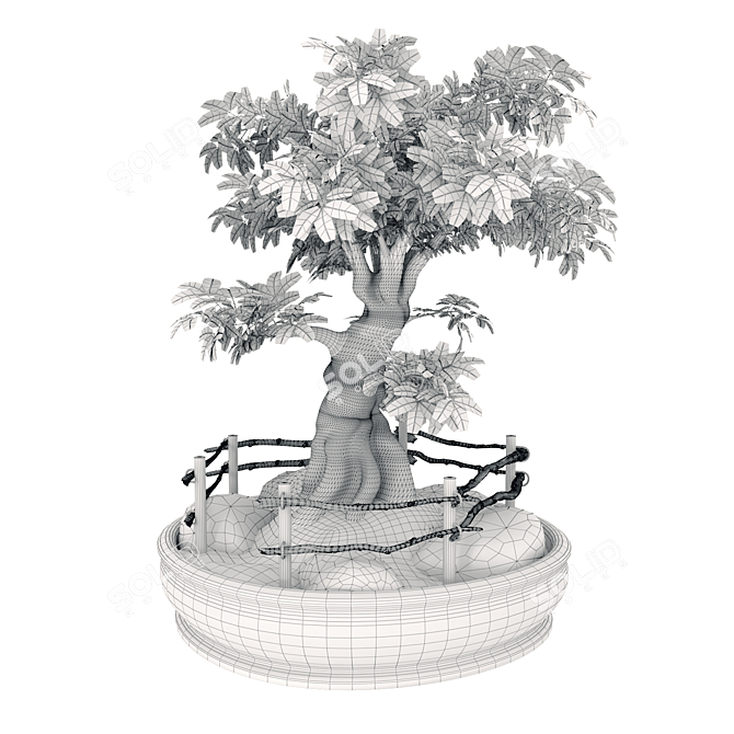 Opulent Opacity Bonsai Tree 3D model image 3