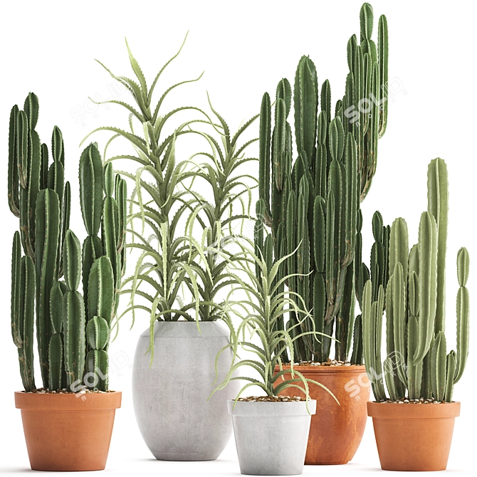 Exotic Cactus Collection: 302 Varieties 3D model image 1