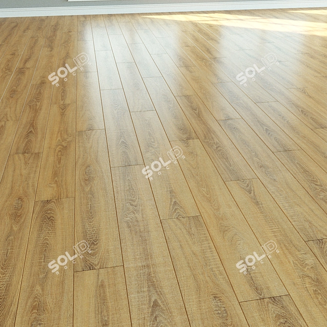 Natural Wood Laminate Parquet 3D model image 3