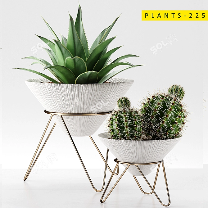 3D Cactus Models: Plants 225 3D model image 1