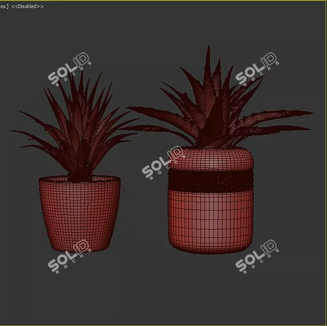 Leafy Greens Galore 3D model image 3