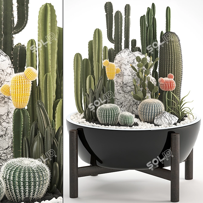 Title: Exotic Plant Collection: Cactus Set 3D model image 1