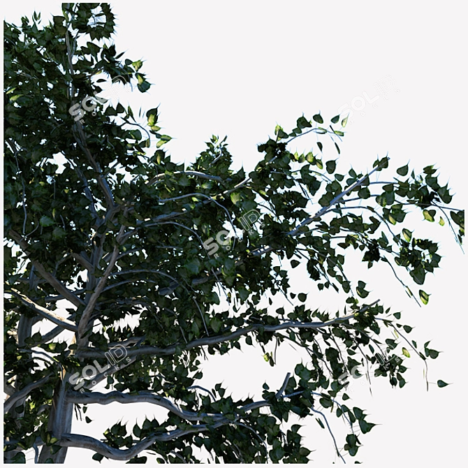 Eco-friendly Tree Nursery 3D model image 2