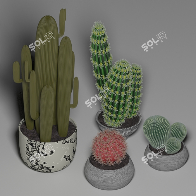 Desert Oasis: 4-Piece Cactus Set 3D model image 1