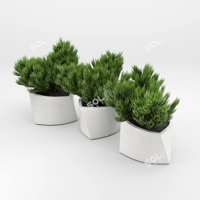 Contemporary Triangular Stone Planter 3D model image 2