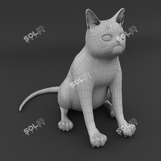 Grumpy Cat Contest: Enter Now! 3D model image 3