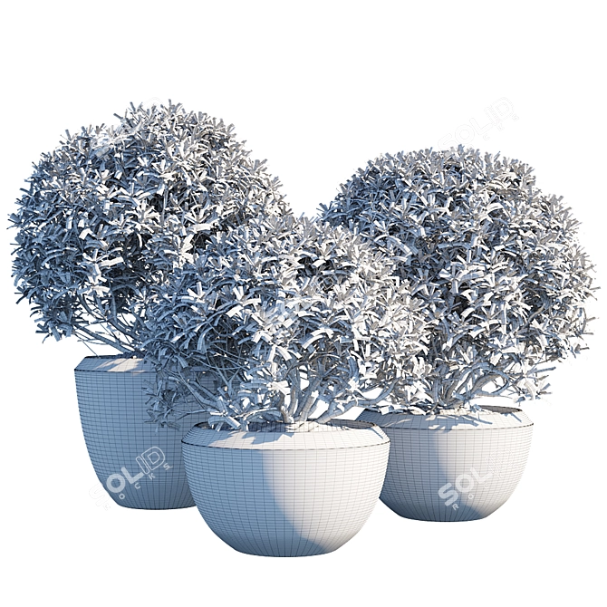 Greenery Delight: Potted Plant Trio 3D model image 2
