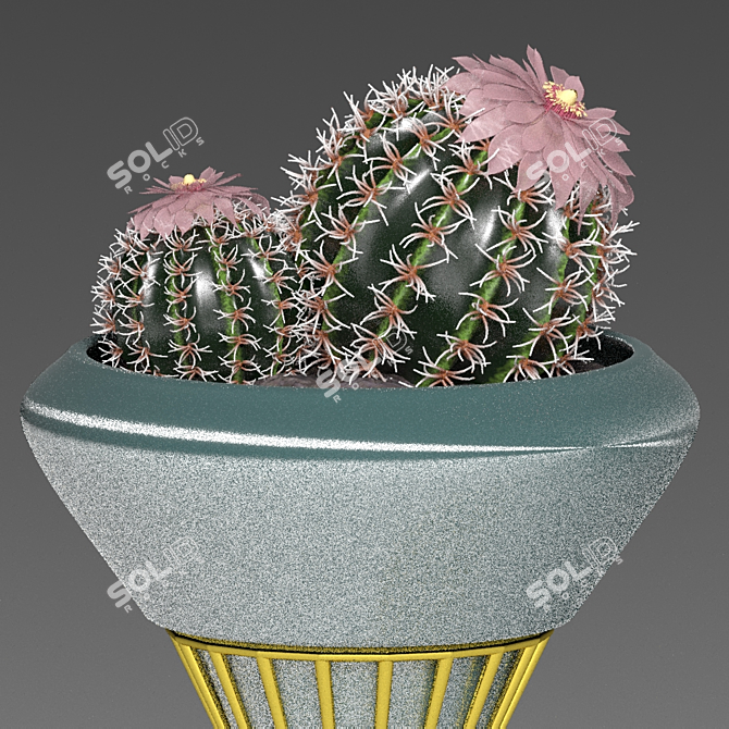 Golden Cactus Trio: Luxe 24K 3D model image 2