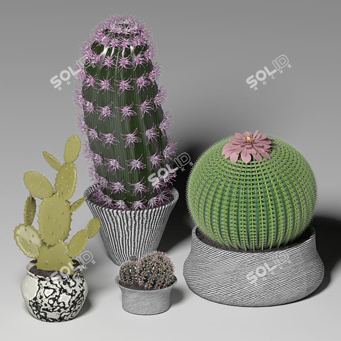 Desert Dreams Cactus Set 3D model image 1