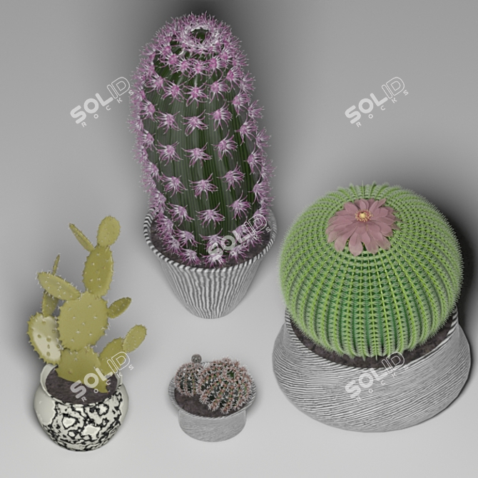 Desert Dreams Cactus Set 3D model image 2