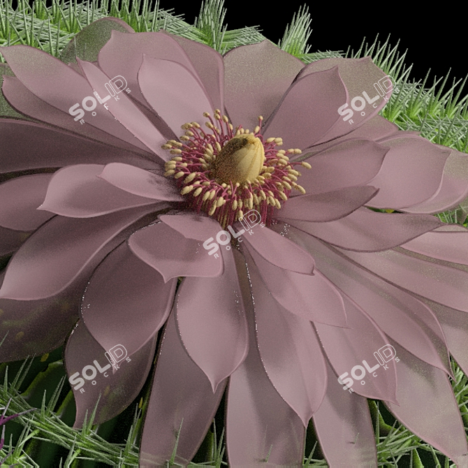 Desert Dreams Cactus Set 3D model image 3