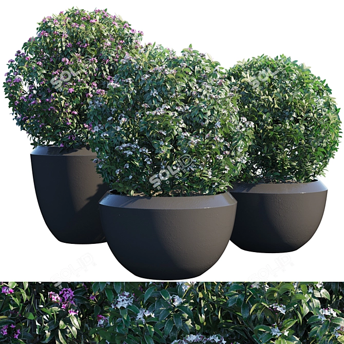 Gorgeous Potted Plant #2 3D model image 1