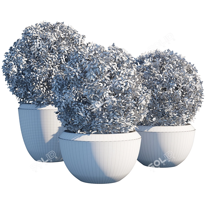 Gorgeous Potted Plant #2 3D model image 2