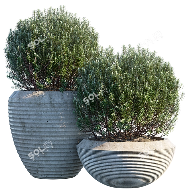 Green Oasis: Potted Plant #3 3D model image 1