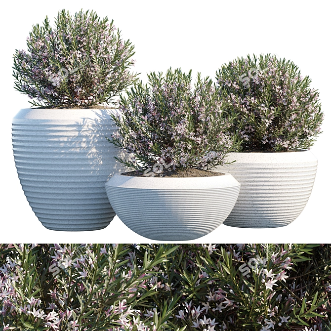 Outdoor Greenery: Plant in Pots 3D model image 1