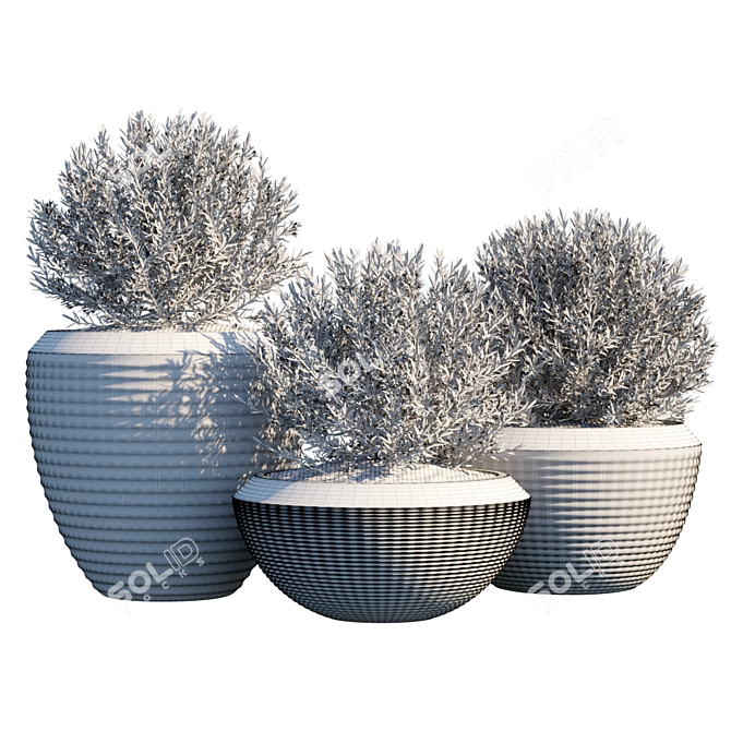Outdoor Greenery: Plant in Pots 3D model image 2