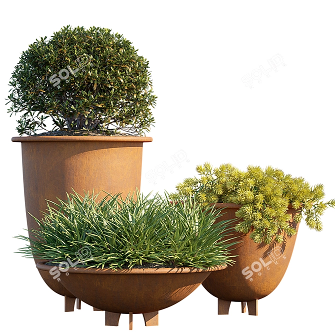 Lush Green Plant #6 in Chic Pots 3D model image 1